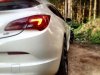 vxr 6.jpg