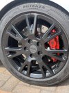 IMG_5550.jpeg
