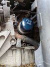 PXL_20250822_155841870.jpg PXL_20250822_155841870.jpg