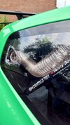 IMG_3672.jpeg
