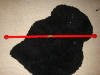 DSC01516.jpg