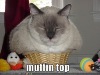 funny-pictures-fat-cat-in-basket.jpg