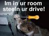 n:ANd9GcTXFynpuCnNk7dQgrcOG3QqpZ9lcVJL_2ncnoSzVKrsthjxnLg&t=1&usg=__E4pA8hFdSSjG7Jo5HShJjkNBMY4=.jpg