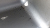 5849698525_8ab455121c.jpg