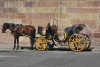 horse-carriage-644059.jpg