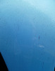 P1020011.jpg