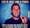 Funny-memes-life-is-just-like-a-penis.jpg