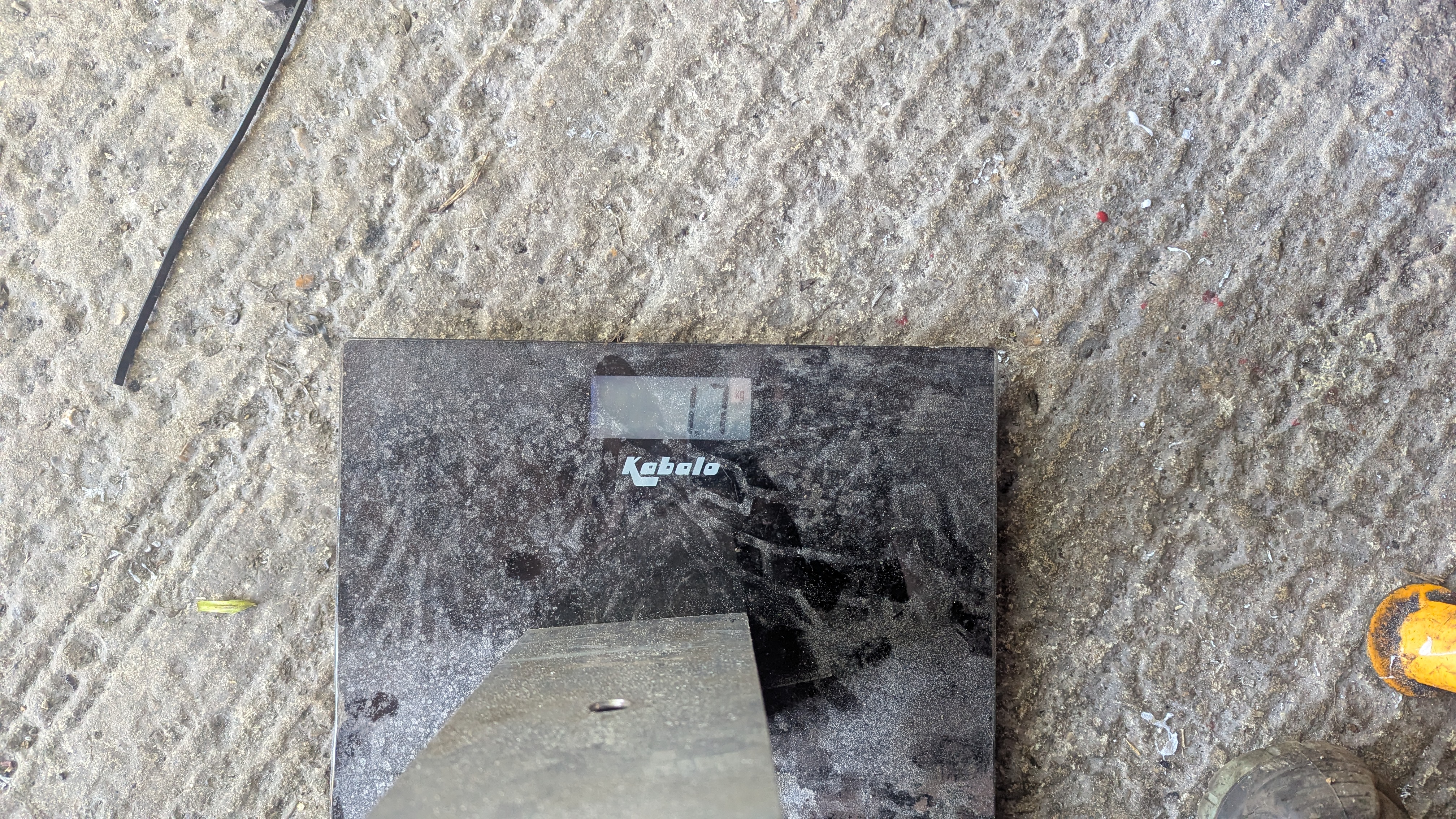 PXL-20250503-125011810.jpg