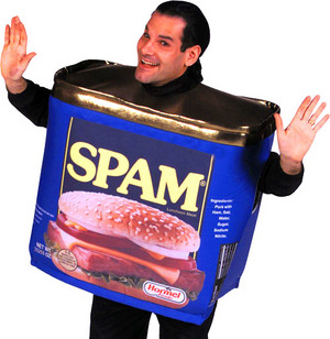 spam-costume.jpg