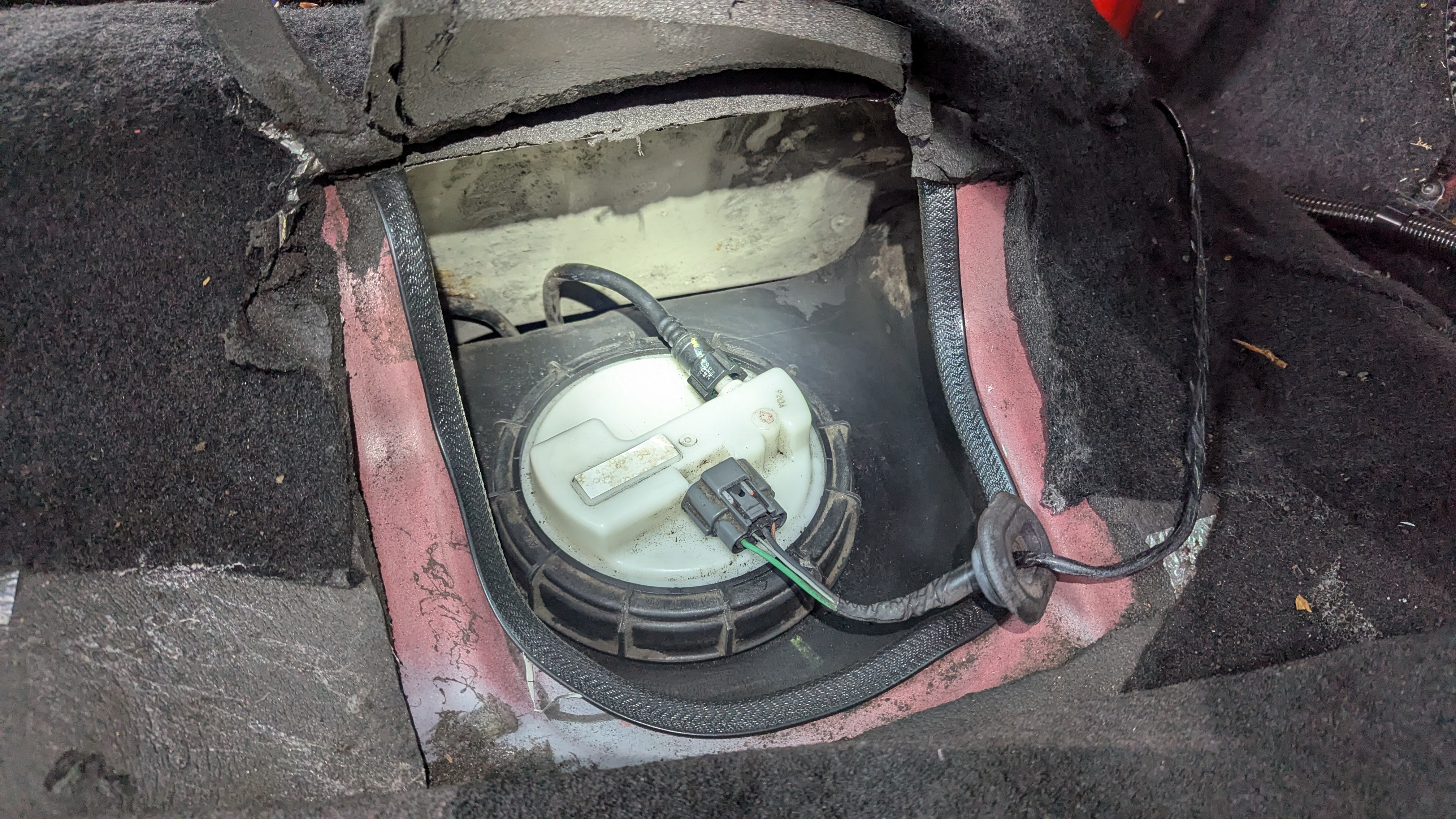PXL-20250830-111721405.jpg