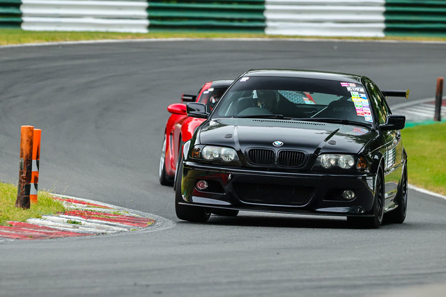 55589984446_d77208971f_z.jpg
