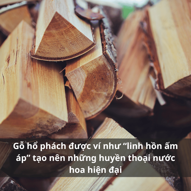 Nuoc-hoa-huong-go-ho-phach.png