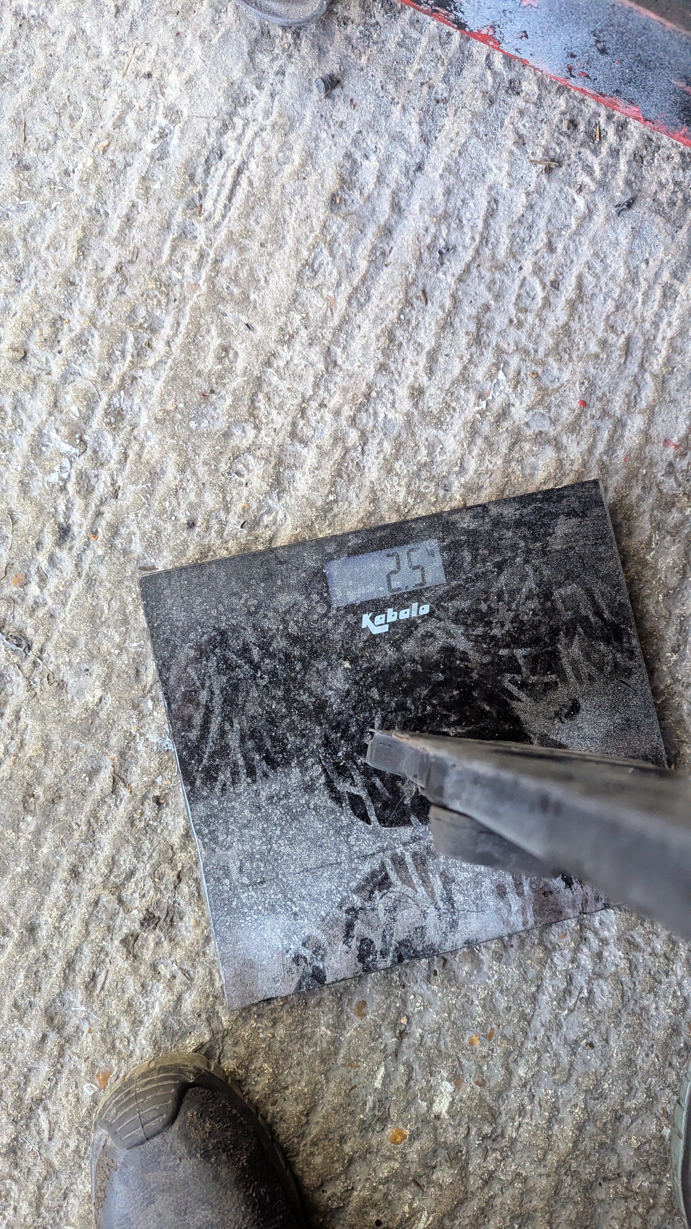 PXL-20250429-174513484.jpg