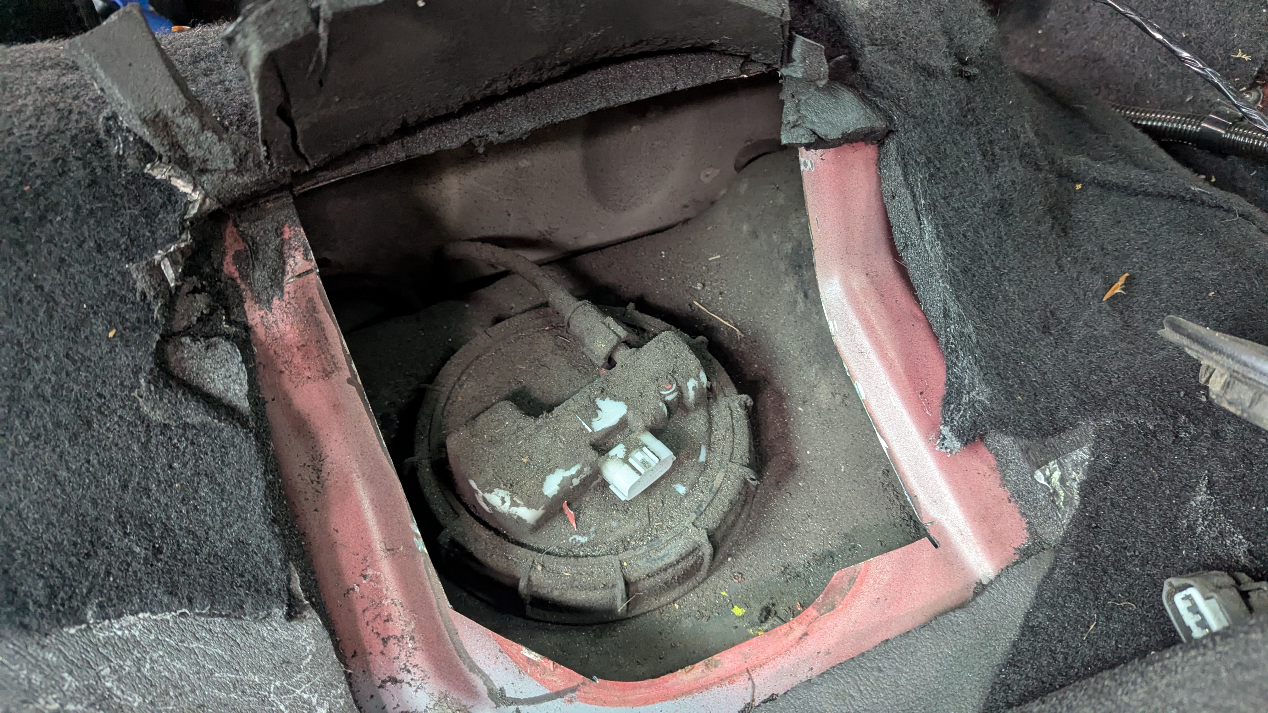 PXL-20250830-105737688.jpg