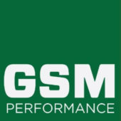 gsmperformance.co.uk